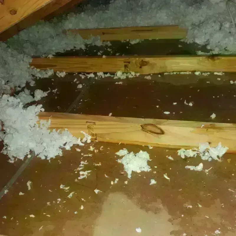 Attic Water Damage in Garland County, AR