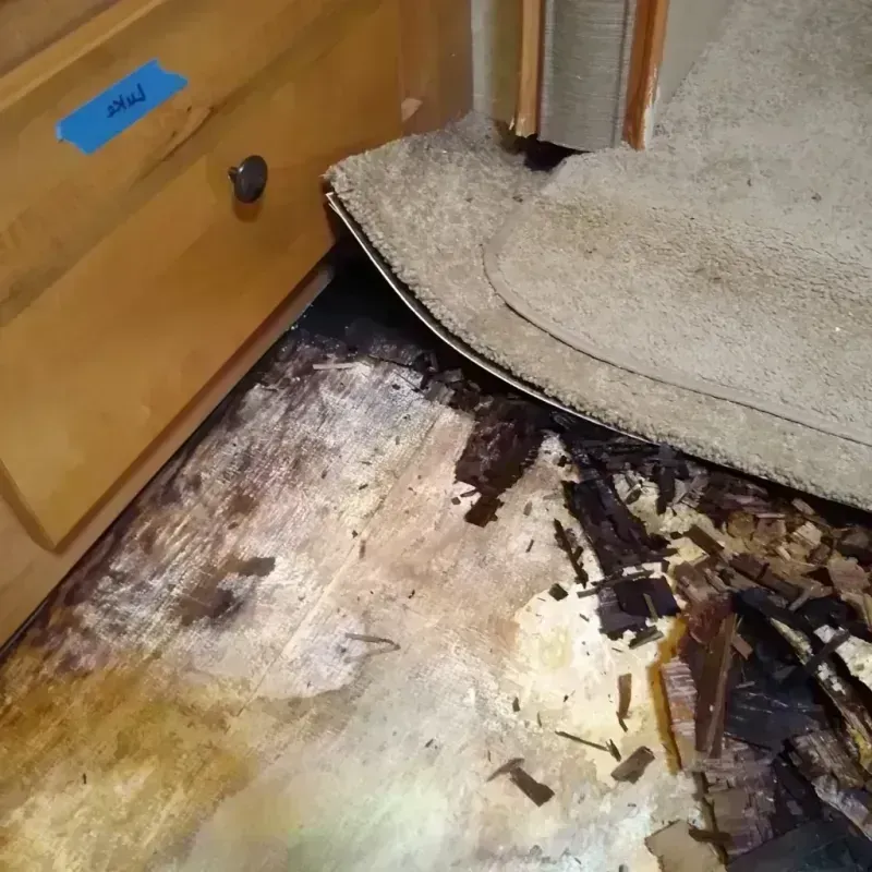 Wood Floor Water Damage in Garland County, AR